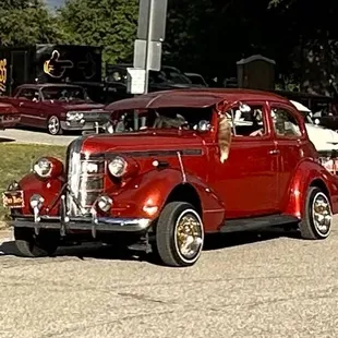 Low riders at the park today