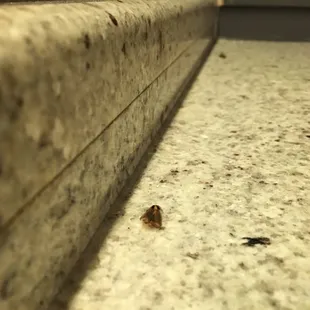 food, sushi and sashimi