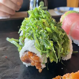 Jungle Roll