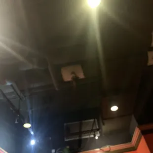 The lack of ceiling