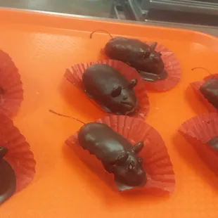 Chocolate rats Lol
