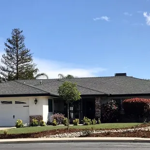 Removal of grass and installation of dry creek, drought tolerant plants, and three new trees.