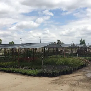 a row of greenhouses