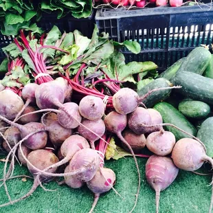 Organic beets and cucumber for really delicious healthy smoothies !!