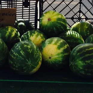 Watermelons !!