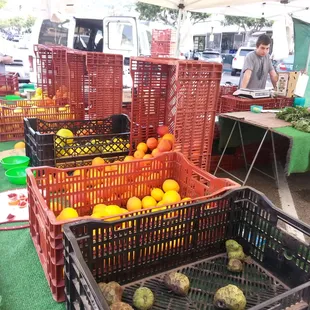 One of the few vendors