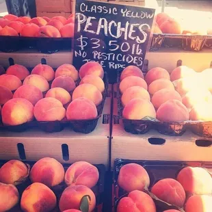 Plump and juicy organic peaches !!