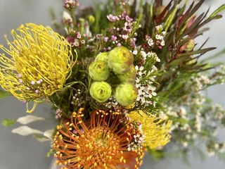 South Coast Farms Farmstand