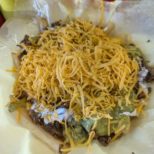 Carne asada fries
