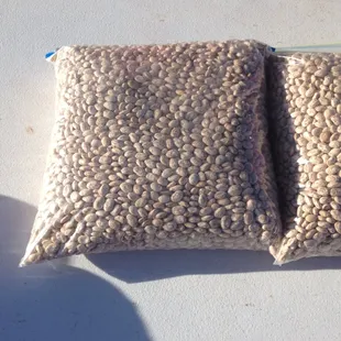 Pinto beans.  Get some.