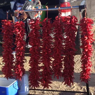 Come to the market and get you one!