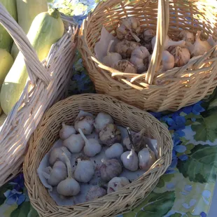 I got 99 problems but vampires ain't one!  Get Garlic.