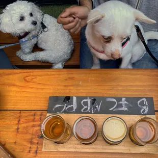 enjoy a flight of beer
