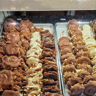 Turtle chocolate