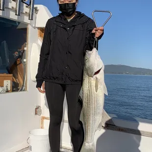 my first striper!