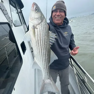 Billy B.