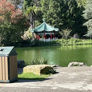 Japanese tea garden