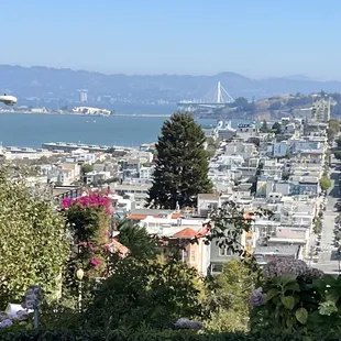 Lumbar Travel down unique streets where other buses are forbidden