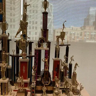 Trophies for women's chores