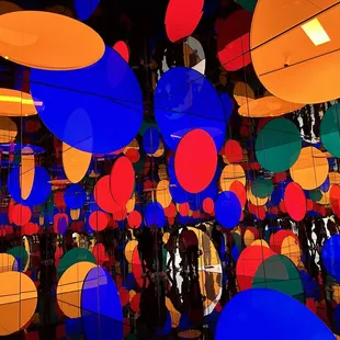 Yayoi Kusama: Infinite Love Exhibit / Dreaming of Earth’s Sphericity, I Would Offer My Love ($40)