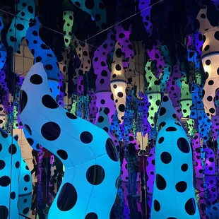 Yayoi Kusama: Infinite Love Exhibit / LOVE IS CALLING ($40)