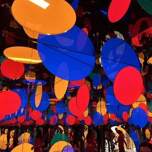 Yayoi Kusama: Infinite Love Exhibit / Dreaming of Earth’s Sphericity, I Would Offer My Love ($40)