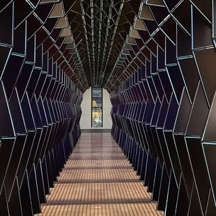 Oculus Bridge at night