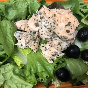 "The Marina" salmon salad