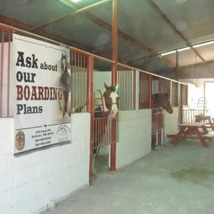 Ask About our Boarding