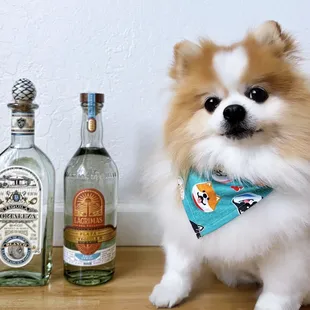 Fortaleza Blanco ($52) + Lagrimas Del Valle Palo Verde Plata Tequila ($69)