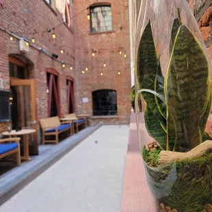 Structure, color, light. Giving me life!