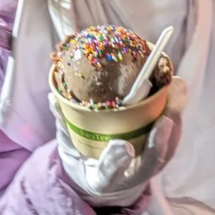 Black Forest Cake - 5 stars, intense dk chocolate flavor, cherry bits. Sprinkles - 4 stars, didn't melt, super crunchy. Fri night 2023-10-27