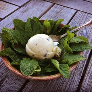 Fresh Mint Chip Ice Cream