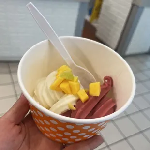original tart &amp; raspberry sorbet with mango