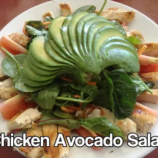 chicken avocado salad