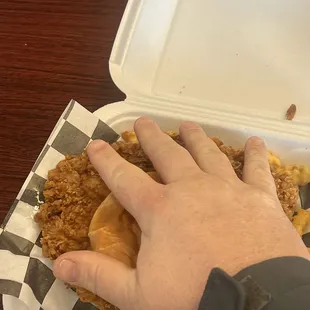 Bigger than my hand
