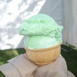 Asparagus Ice Cream