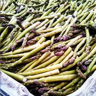Tons of asparagus!!