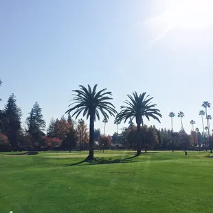 Thanksgiving morning golf