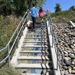 Steps leading to trail
