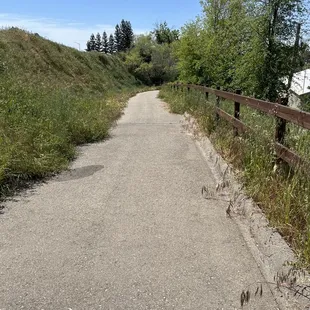 Trail area above hatchery
