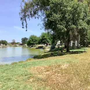 Surroundings the River.