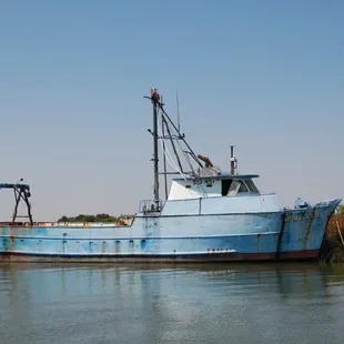 Looks like this boat has been here for awhile!
