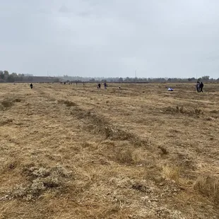 Join a planting day to plant native plants adjacent to the river