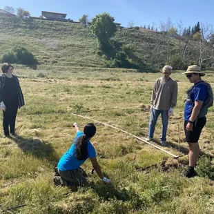 Making sure drip line is evenly spaced