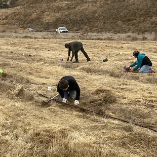 Join a planting day to plant native plants! Everything was provided!