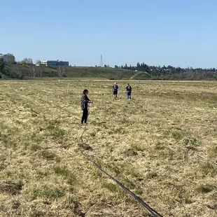 Laying drip line for a plant restoration project