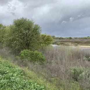 You can see a little of the river?!