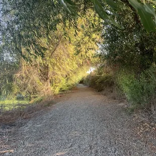 Calm , peaceful trail