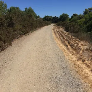 Flat paths can bring dog on leash